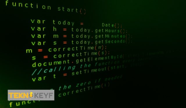 Siber Güvenlik İçin Yazılım: En Popüler Diller